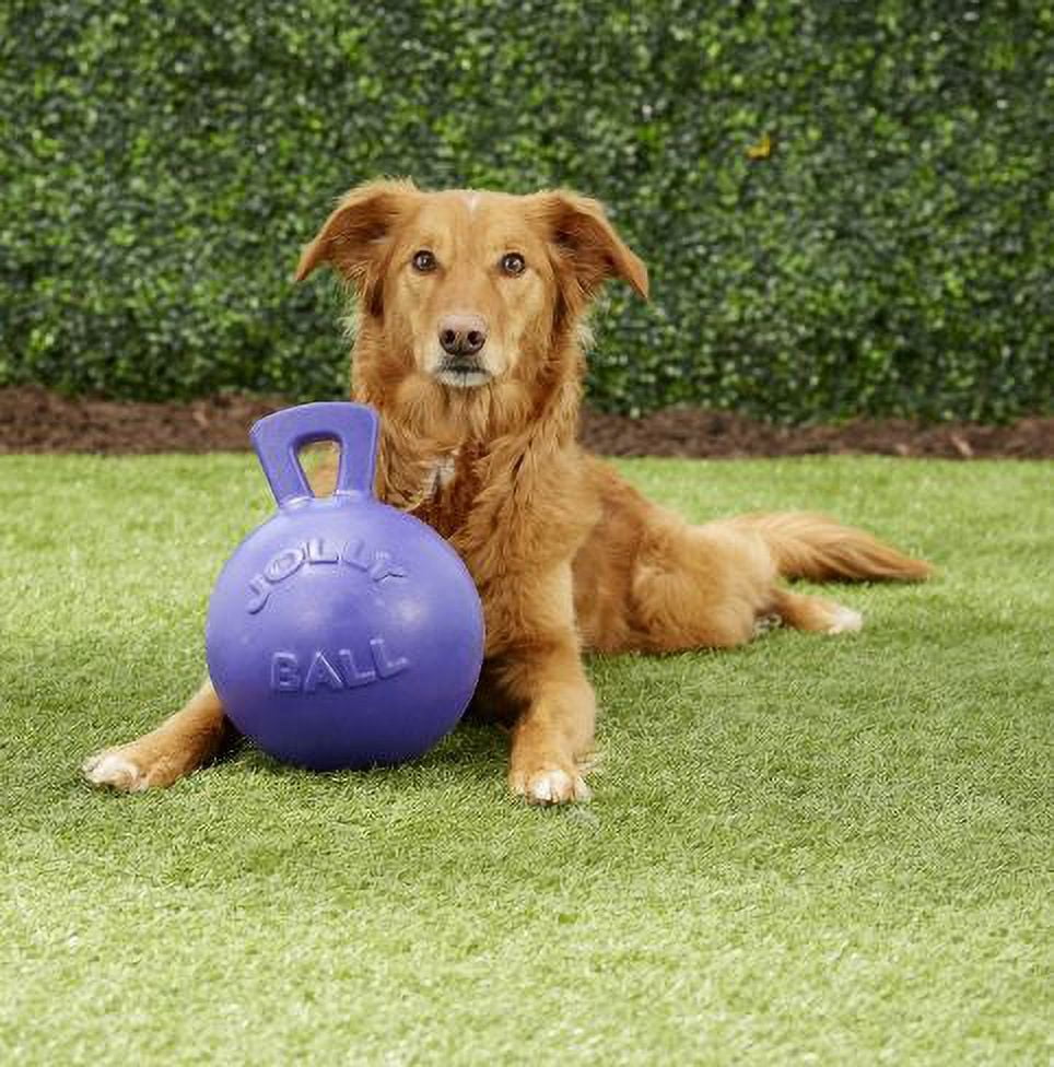 Jolly Pets Tug-N-Toss 10 inch Purple Rubber Ball with Handle Chew Toy for Dogs