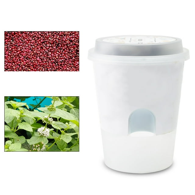 Coofit Plant Glow Kit Creative DIY Observing Planting Kit Growing Kit for Children