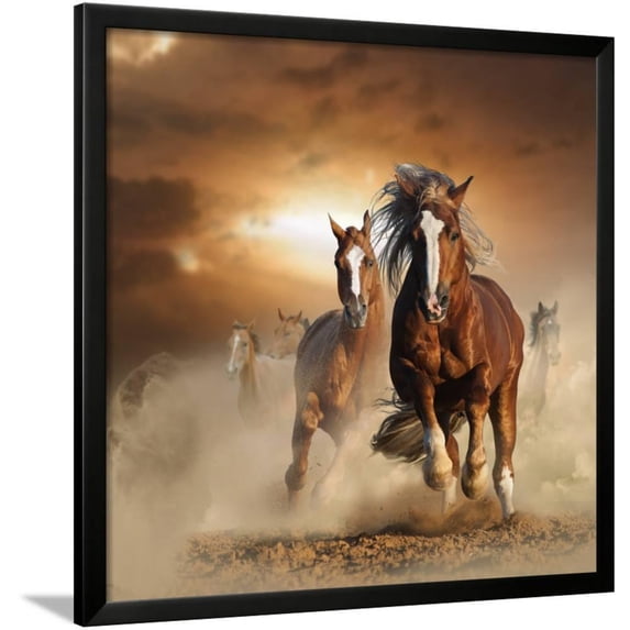 Two Wild Chestnut Horses Running Together in Dust, Front View, Animals Framed Art Print Wall Art by mariait