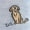 Dogs, variant on Ben Hogan Men's Stick Figure Golfing Novelty Socks, 4-Pack, Sizes 7-12