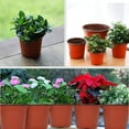 thumbnail image 5 of 6 Inch Small Plastic Plant Nursery Pot/Pots 200 Pcs Seedlings Flower Plant Container Seed Starting Pots Indoor Outdoor (Red), 5 of 8