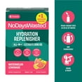 thumbnail image 3 of No Days Wasted Hydration Replenisher Electrolyte Replacement, Watermelon Lemonade, Powder Packet Drink Mix, 6 Count, 3 of 6