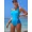 blue, variant on Attraco Womens One Piece Sports Swimsuit Colorblock Bathing Suits Sport Training Slimming Swimwear