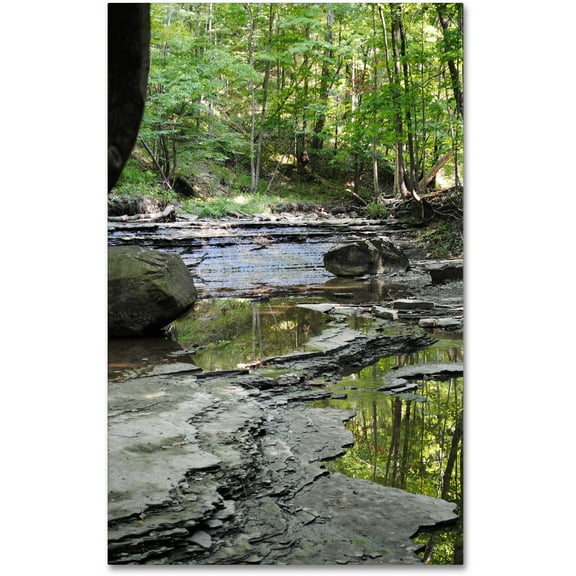 Trademark Fine Art "Crystal Rock" Canvas Art by Monica Fleet