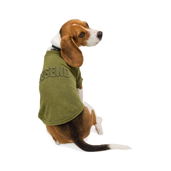 Reddy Embossed Legend Dog Tee, Medium, Green