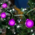 thumbnail image 6 of Novelty Lights 25 Feet Purple G40 Globe Outdoor Patio String Lights, Green Wire, 6 of 7