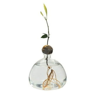 fake tree plant VeriNatural 8FT Artificial Ficus Tree with Custom White Pot for Indoor