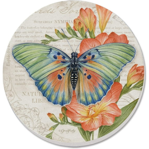 Absorbent Stone Beverage Coasters - Set of 4 - Edwards Forester