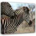 thumbnail image 1 of Dana Underdahl 28x28 Gallery Wrapped Canvas Wall Art Titled - Zebra Baby I, 1 of 4