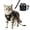 Black, variant on Escape Proof Cat Harness with Retractable Leash – Reflective Vest Harness for Night Safety, Step-in Adjustable Design Fits Small Medium Large Cats