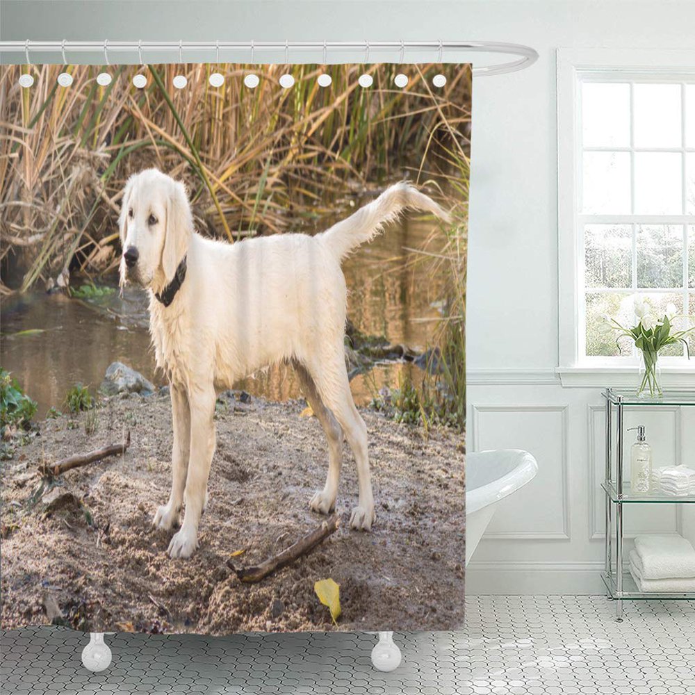 CYNLON Labrador Dog Yellow Lab Puppy in The Creek Hunting Bathroom