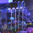 Transparent Coral Feeder Tube for Feeding Liquid Fertilizers Water