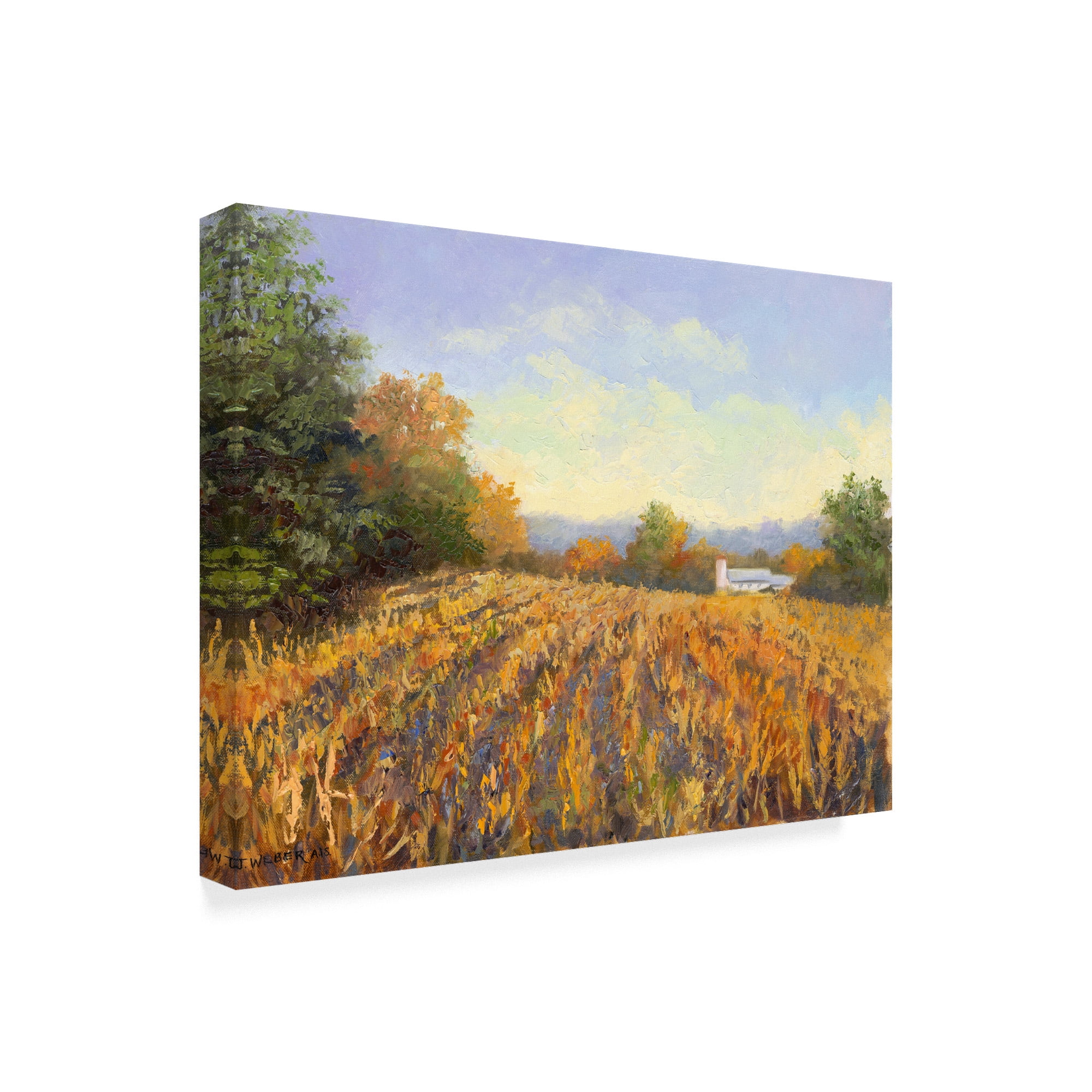 Trademark Fine Art 'Corn Rows' Canvas Art by Mary Jean Weber