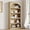 Natural, variant on TacleeKii Farmhouse Arched 5-Tier Bookcase, 68.7" Tall Wooden Bookshelf with Open Storage, Gray