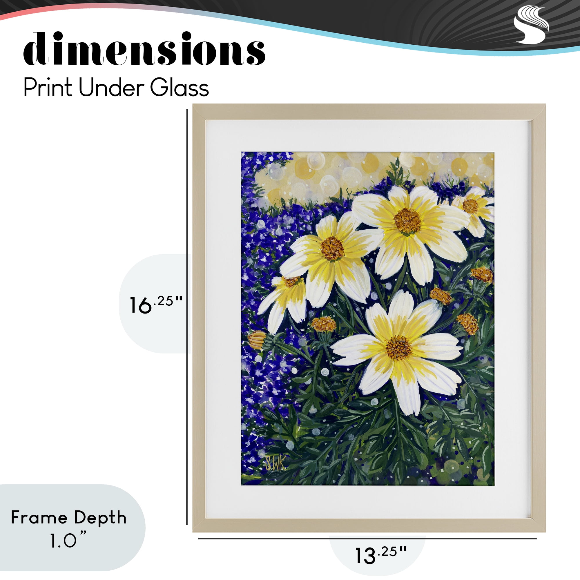 Stupell Industries Summer Garden Cosmos Birch Framed Print Under Glass, design by Sarah Waldron Kimball
