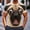 #435-Beige, variant on Men 3D Big Fish Face Print Short Sleeve T Shirt Funny Graphic Crew Neck Casual Tee Navy S Gift