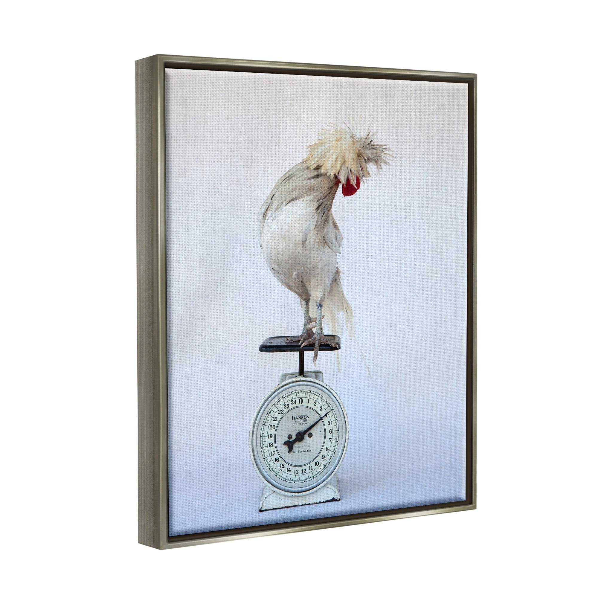 Stupell Industries White Bird Standing Vintage Kitchen Scale Photography Photograph Luster Gray Floating Framed Canvas Print Wall Art, Design by Tania Soderman