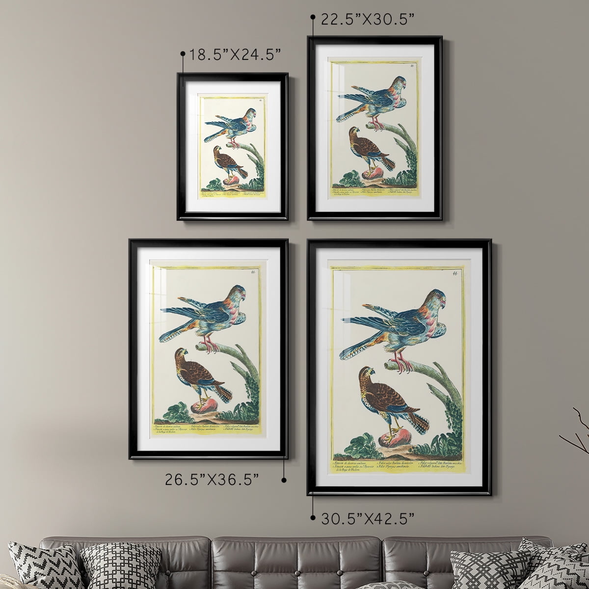 Wexford Home Pastel Birds V Premium Framed Print, 18.5" x 24.5" - Ready to Hang, Black (Set of 2)