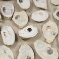 thumbnail image 6 of DecMode Cream Shell Handmade Abstract Shell Wall Decor with Beige Linen Backing and Black Frame, 6 of 10