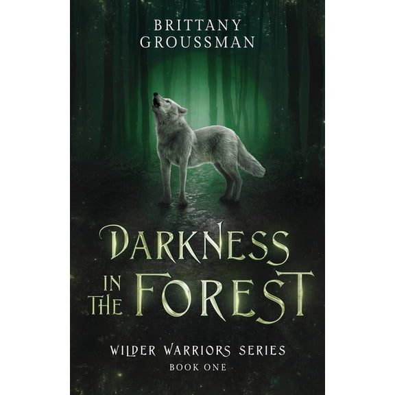 Wilder Warriors Darkness in the Forest, Book 1, (Paperback)