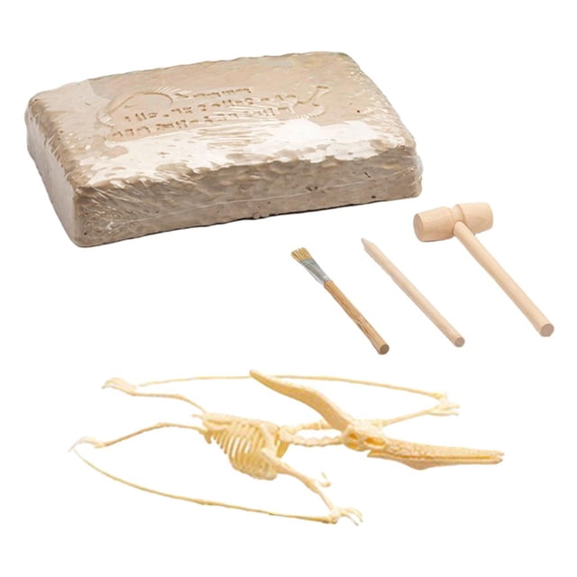 Kit de excavación de dinosaurios, juguetes educativos de excavación de dinosaurios para cumpleaños de niños. Style2