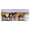 Horse Herd Riverscape Painting, variant on Stupell Industries Rustic Lodge Horse Herd in River Black Floating Frame Canvas Art, 25 x 11, by Victoria Schultz