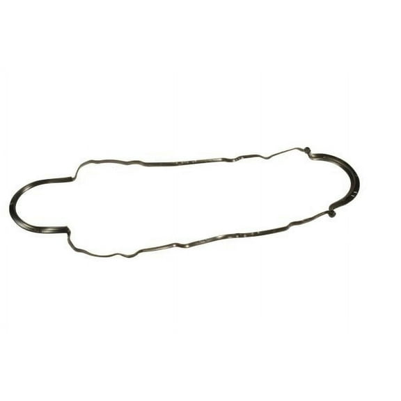 Engine Oil Pan Gasket