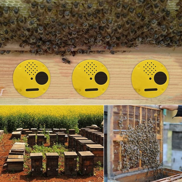 Bee Hive Box Entrance Gates, Plastic Rotating Disc for Controlling Beehive Access, Yellow, 12 Pcs or Set, With Beehive Box Entrance Gates for Protecting Hives