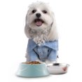 thumbnail image 3 of Cuenco redondo de plástico para perros de acero inoxidable, cuenco para gatos, cuenco para alimentos para mascotas, cuenco para mascotas de doble capa y doble propósito MFZFUKR CPB-DE-SSW2209-2, 3 of 5