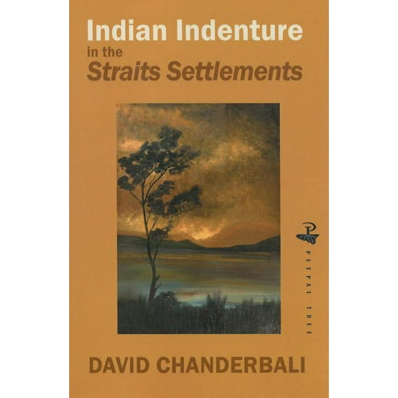 Indian Indenture in the Straits Settlements : The Politics of Policy and Practice in the Straits Settlements (Paperback)