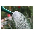 thumbnail image 4 of Tswift Watering Can | 3L Garden Bonsai Spout for House Watering Plants 0.79 101Oz Long Flower Can Water Sprinklers | 1*Iron Bucket Decoration, 4 of 10