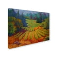 thumbnail image 2 of Trademark Fine Art 'Vineyard 2' Canvas Art by Marion Rose, 2 of 3