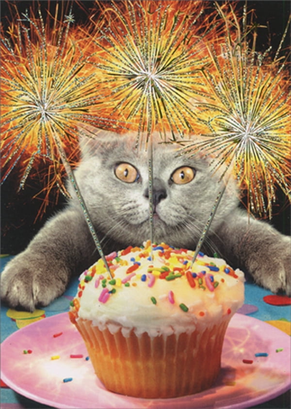 Details about   I Love Cake Cat Avanti Funny Birthday Card 