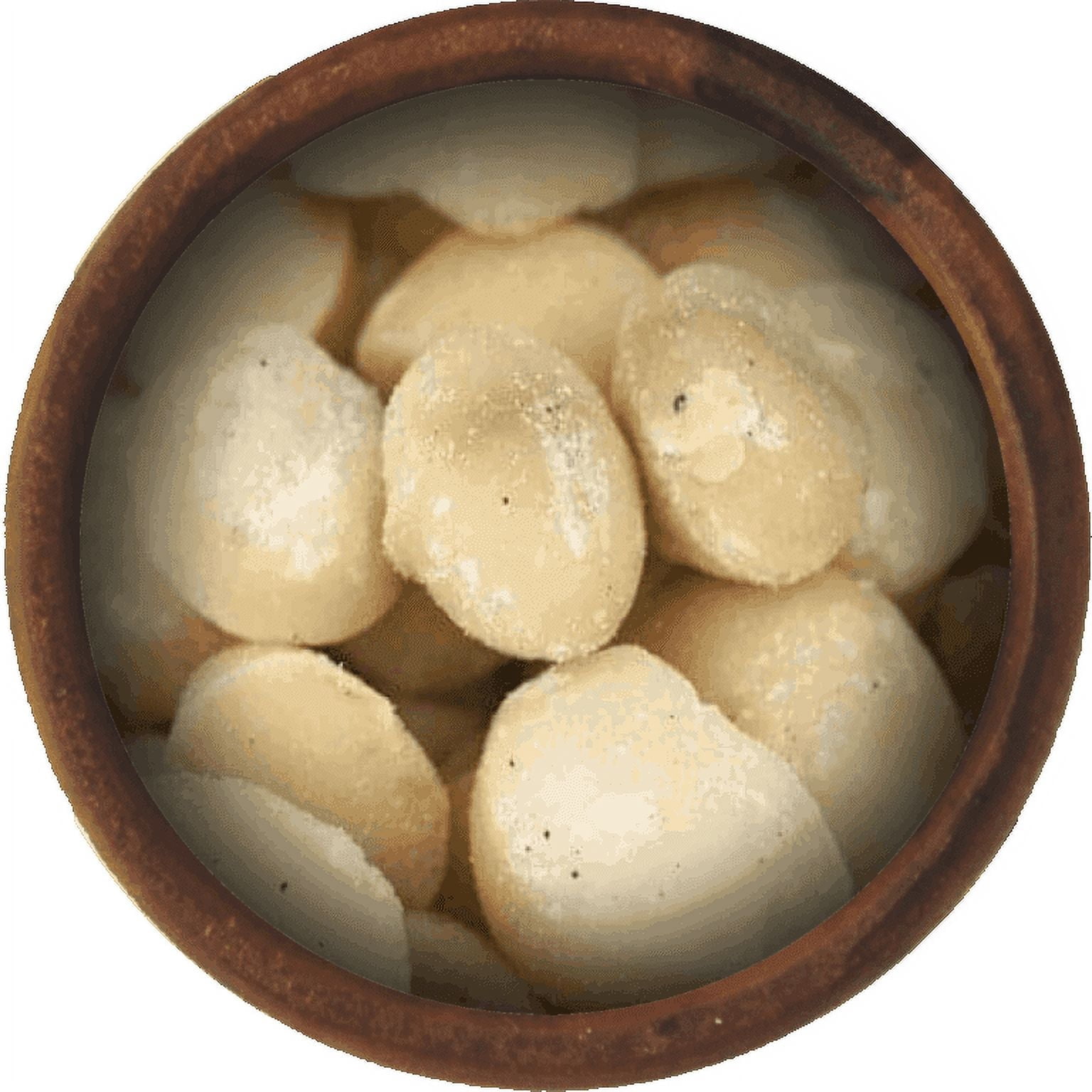 Bulk Macadamia Nuts 10 Pound Wholesale Box