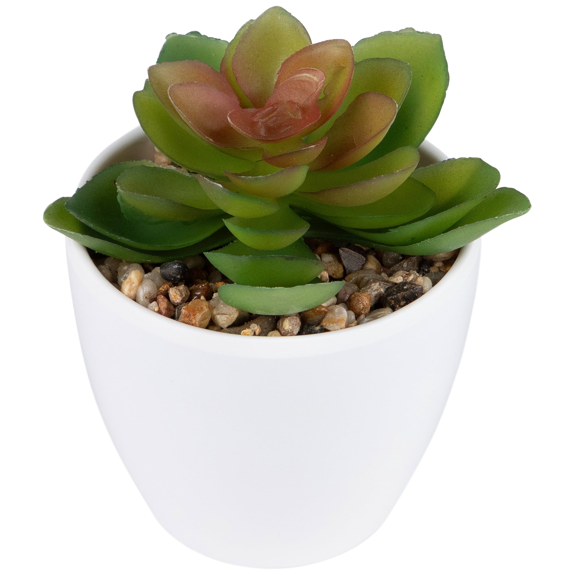 Northlight Mini White Potted Artificial Succulent Plant - 4"