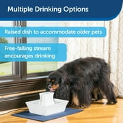 PetSafe Drinkwell Ceramic Pagoda Fountain - White