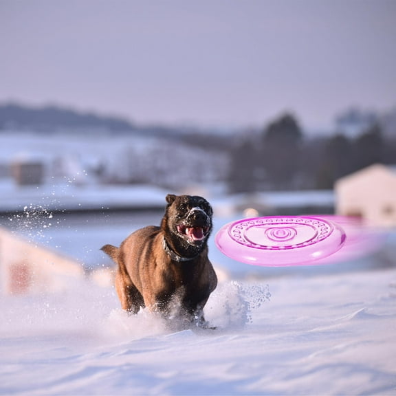 DINHEAROM Round Dog Throwing Plate Toy Purple TPR 1Pcs 6.1X6.1X0.6In