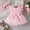 Pink, variant on RTKFRFLM Infant Butterfly Embroidery Gown Sleeveless Mesh Tulle Princess Tutu Dress Pink 6-12 Months
