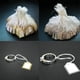 thumbnail image 1 of 1000 Uds.Etiquetas de Precio en Blanco Macarena Etiquetas de precio de cadena, 1 of 8