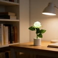 thumbnail image 1 of Luz nocturna LED Rose En maceta Lámpara de flores Plástico alimentado por pilas Rosa Oro Blanco Ambiente romántico Escritorio Dormitorio Decoración del hogar Regalo Boda, 1 of 6