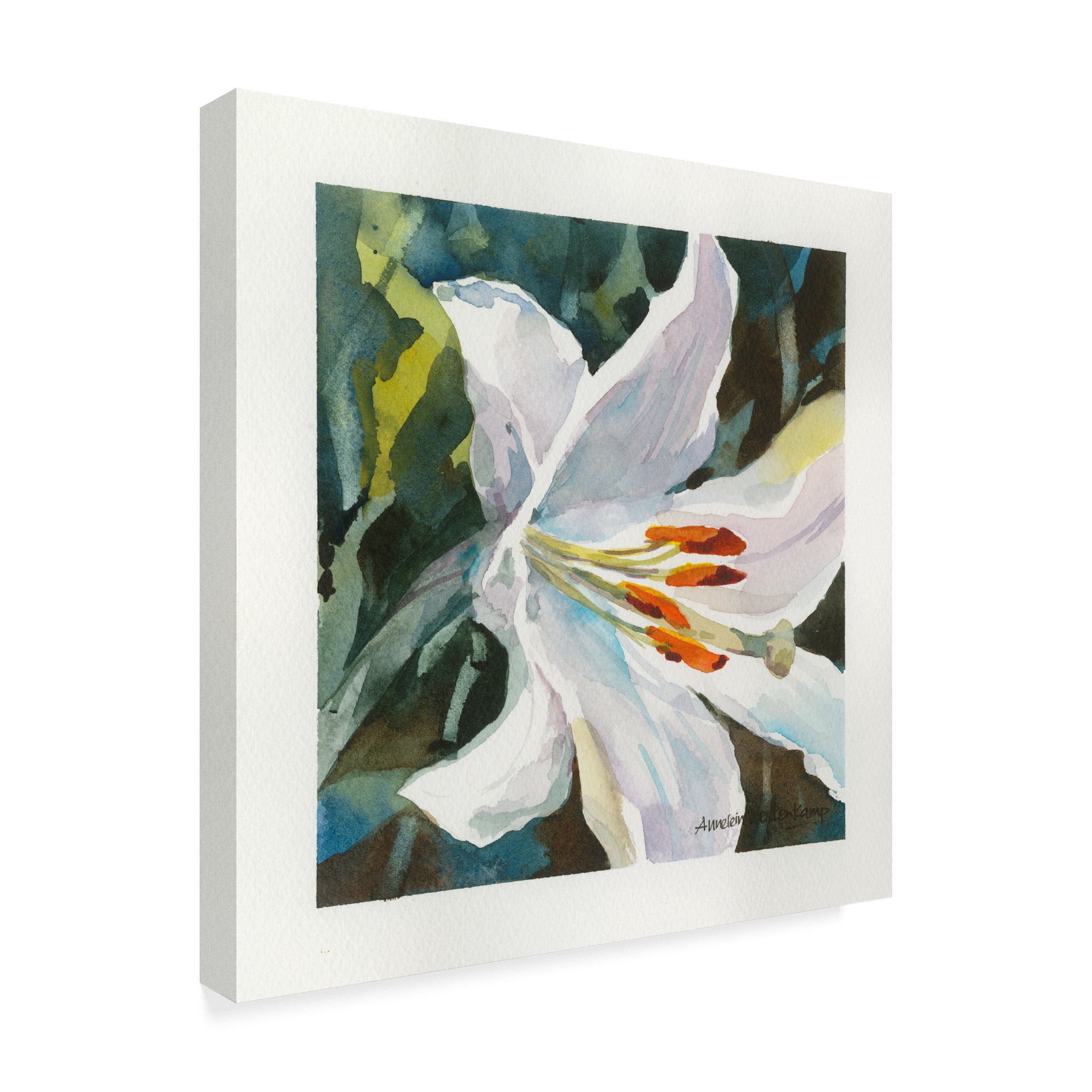 Trademark Fine Art 'Pure White Flowers' Canvas Art by Annelein Beukenkamp