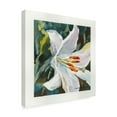 thumbnail image 2 of Trademark Fine Art 'Pure White Flowers' Canvas Art by Annelein Beukenkamp, 2 of 3