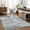 Light Gray, Light Slate, White / Hosa, variant on Hauteloom Hosa Recycled Material Living Room, Bedroom Area Rug - Bohemian, Transitional - Light Gray, Light Slate, White - 2' x 3'