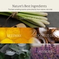thumbnail image 4 of Wax melts FONTANA CANDLE CO. Lemongrass Eucalyptus 3 pastillas, 4 of 8
