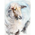 thumbnail image 2 of Parker, Jennifer Paxton 25x32 White Modern Wood Framed Museum Art Print Titled - Watercolor Sheep I, 2 of 4