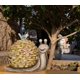thumbnail image 4 of Estatuilla de caracol de resina con luz LED para jardín y decoración al aire libre con energía Solar, 4 of 6