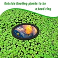 thumbnail image 3 of 10pcs Aquarium Floating Plant Rings Lightweight Keep Food Plants in Place EVA Foam Floating Ring for Fish Tank, 3 of 7