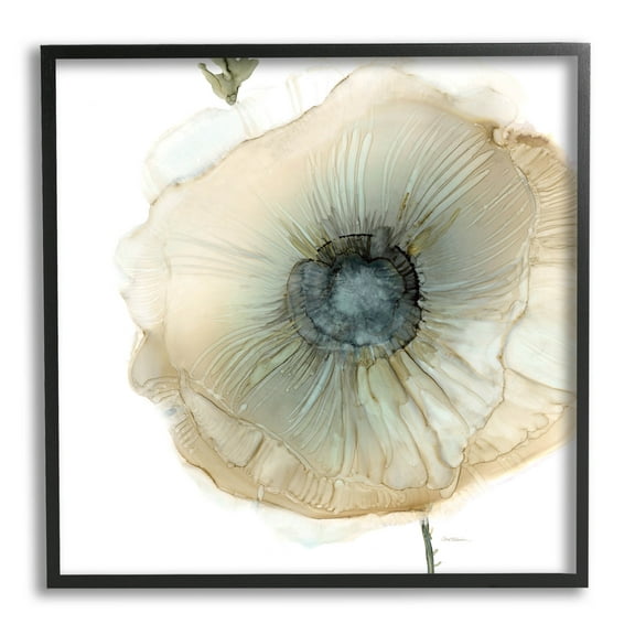 Stupell Industries Contemporary Flower Petal Poppy Blossom Graphic Art Black Framed Art Print Wall Art, Design by Carol Robinson