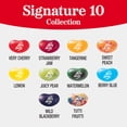 thumbnail image 3 of Jelly Belly Signature 10 Collection Jelly Beans, 1 Box, Premium Jelly Beans For The Flavor Aficionado, Assortment May Vary, 4.25 oz, 3 of 9