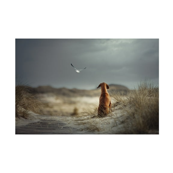 Canvas Wall Art - Heike Willers 'Freedom ' Wall Art for Living Room, Bedroom, or Office Décor by Trademark Fine Art - 19 x 12 Inches